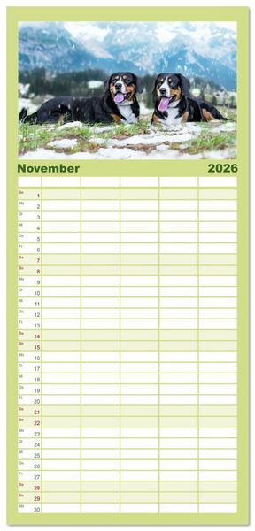 Produktbild: Familienplaner 2026 - Entlebucher - Temperamentvolle Schweizer Sennenhunde mit 5 Spalten (Wandkalender, 21 x 45 cm) CALVENDO