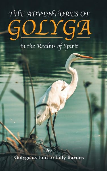 Produktbild: The Adventures of Golyga