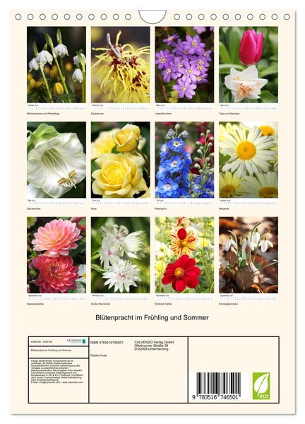 Produktbild: Bl&uuml;tenpracht im Fr&uuml;hling und Sommer (Wandkalender 2026 DIN A4 hoch), CALVENDO Monatskalender
