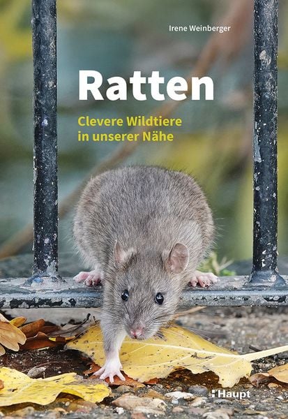 Produktbild: Ratten