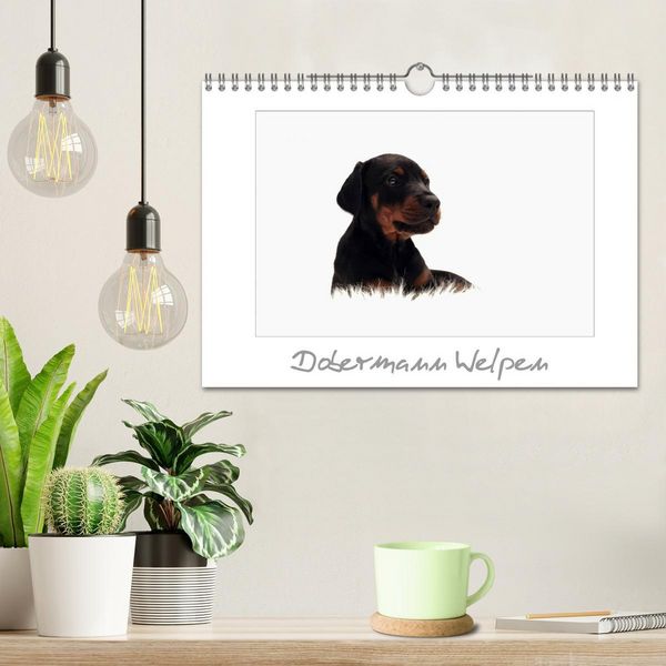 Produktbild: Dobermann Welpen (Wandkalender 2026 DIN A4 quer), CALVENDO Monatskalender