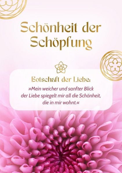 Produktbild: Blume der Liebe - 40 inspirierende Impulse f&uuml;r gelebte Liebe