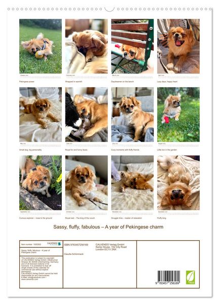 Produktbild: Sassy, fluffy, fabulous &ndash; A year of Pekingese charm (High Quality Premium Wall Calendar 2026 DIN A2 portrait),CALVENDO 12 Month Wall Calendar