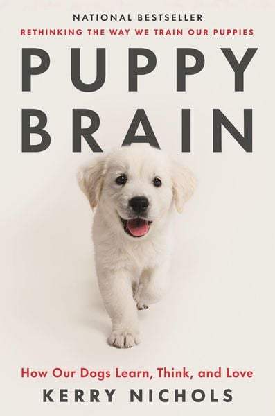 Produktbild: Puppy Brain