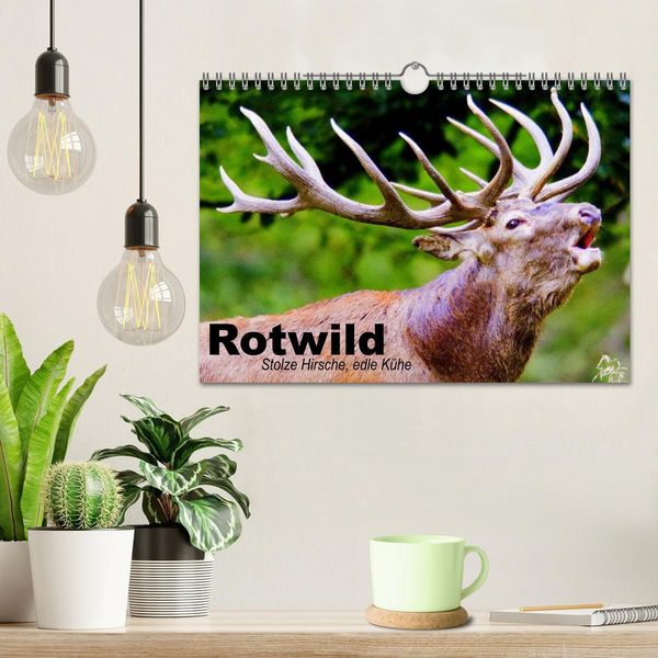 Produktbild: Rotwild. Edle Hirsche, stolze K&uuml;he (Wandkalender 2026 DIN A4 quer), CALVENDO Monatskalender