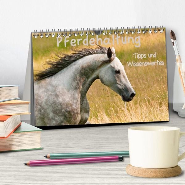 Produktbild: Pferdehaltung Tipps und Wissenswertes (Tischkalender 2027 DIN A5 quer), CALVENDO Monatskalender