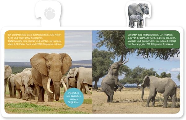 Produktbild: Der Elefant