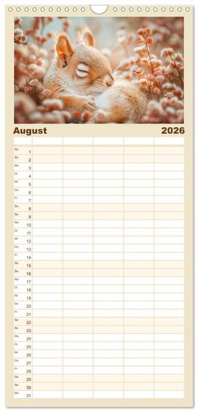 Produktbild: Familienplaner 2026 - Lustige Eichh&ouml;rnchen mit 5 Spalten (Wandkalender, 21 x 45 cm) CALVENDO