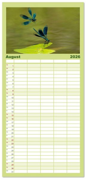Produktbild: Familienplaner 2026 - Naturwunder Libellen mit 5 Spalten (Wandkalender, 21 x 45 cm) CALVENDO