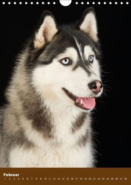 Produktbild: Hundekalender - Nordische Sch&ouml;nheiten (Wandkalender immerw&auml;hrend DIN A4 hoch)