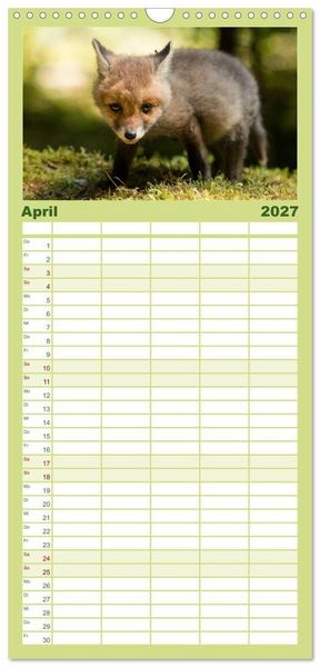 Produktbild: Familienplaner 2027 - Bei den Jungf&uuml;chsen mit 5 Spalten (Wandkalender, 21 x 45 cm) CALVENDO