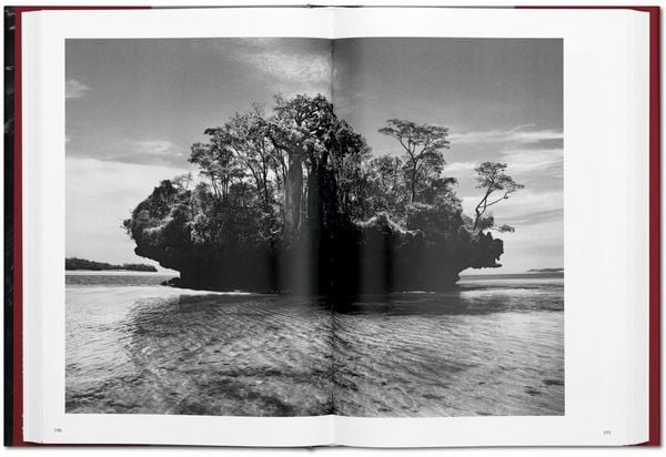 Produktbild: Sebasti&atilde;o Salgado. G&eacute;nesis