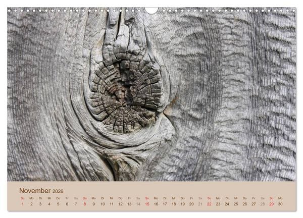 Produktbild: Farben des Holzes (Wandkalender 2026 DIN A3 quer), CALVENDO Monatskalender
