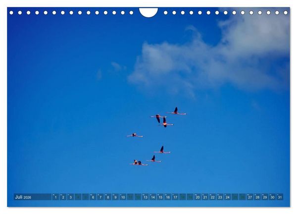 Produktbild: Kuba - Perle der Karibik (Wandkalender 2026 DIN A4 quer), CALVENDO Monatskalender