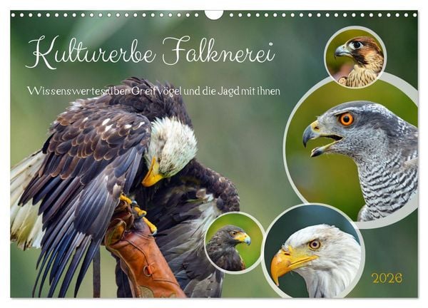 Kulturerbe Falknerei (Wandkalender 2026 DIN A3 quer), CALVENDO Monatskalender