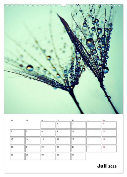 Produktbild: Pusteblumentraum - Dreams of Dandelion (Wandkalender 2026 DIN A2 hoch), CALVENDO Monatskalender