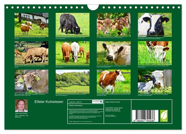 Produktbild: Eifeler Kuhwiesen (Wandkalender 2026 DIN A4 quer), CALVENDO Monatskalender
