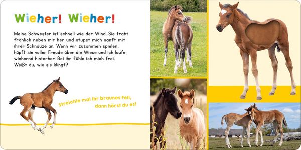 Produktbild: H&ouml;r mal rein, wer kann das sein? Meine Schwester
