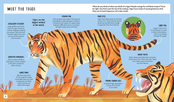 Produktbild: Tiger (Young Zoologist)