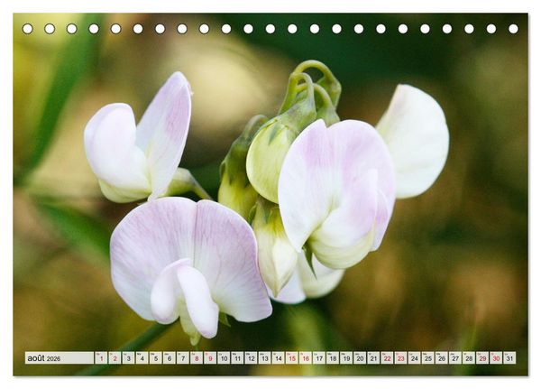 Produktbild: Plaisir des fleurs (Calendrier de bureau 2026 DIN A5 vertical), CALVENDO calendrier mensuel