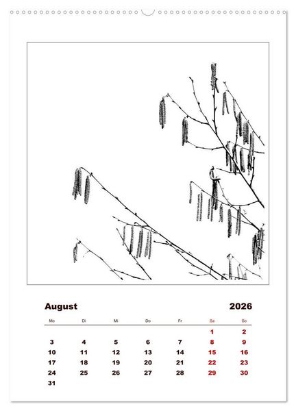 Produktbild: LignoGrafica - Muster und Strukturen der B&auml;ume (Wandkalender 2026 DIN A2 hoch), CALVENDO Monatskalender