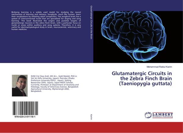Produktbild: Glutamatergic Circuits in the Zebra Finch Brain (Taeniopygia guttata)