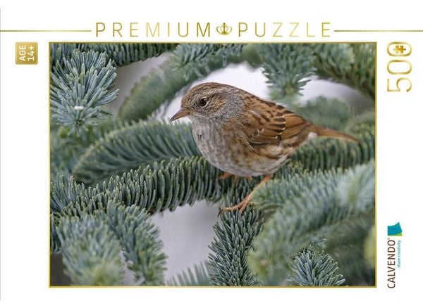 CALVENDO Puzzle Heckenbraunelle | 500 Teile Lege-Größe 48 × 36 cm Foto-Puzzle für Erwachsene