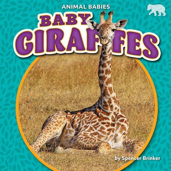 Produktbild: Baby Giraffes