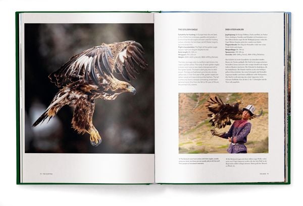 Produktbild: Jagd - Das ultimative Buch