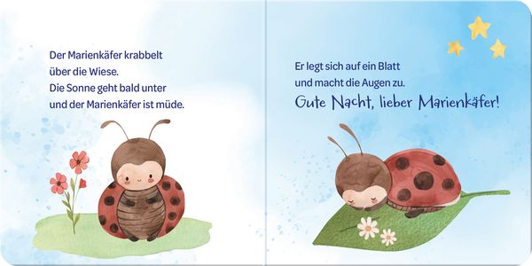 Produktbild: Ich sag Gute Nacht ...
