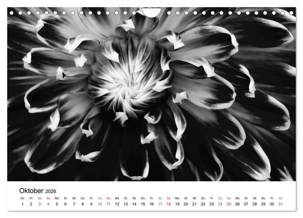 Produktbild: Blumen 2026, Schwarz-Wei&szlig; (Wandkalender 2026 DIN A4 quer), CALVENDO Monatskalender
