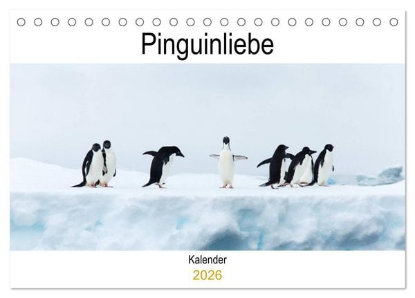 Produktbild: Pinguinliebe (Tischkalender 2026 DIN A5 quer), CALVENDO Monatskalender