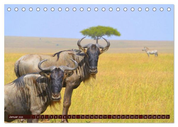 Produktbild: Afrika. Zauber des schwarzen Kontinents (Tischkalender 2026 DIN A5 quer), CALVENDO Monatskalender