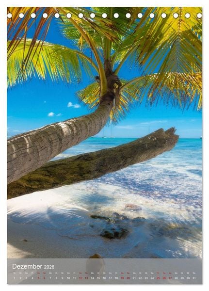 Produktbild: Karibischer Traum Isla Saona (Tischkalender 2026 DIN A5 hoch), CALVENDO Monatskalender