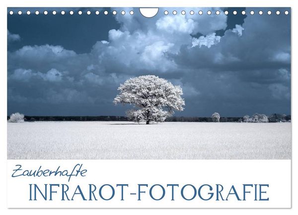 Produktbild: Zauberhafte Infrarot-Fotografie (Wandkalender 2026 DIN A4 quer), CALVENDO Monatskalender