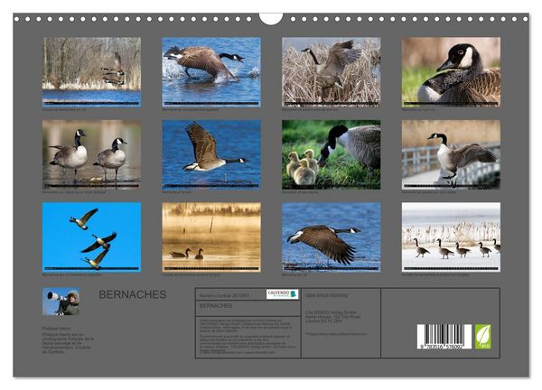Produktbild: BERNACHES (Calendrier mural 2026 DIN A3 vertical), CALVENDO calendrier mensuel