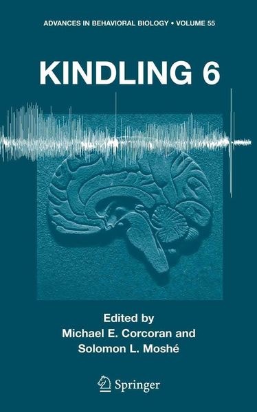 Produktbild: Kindling 6