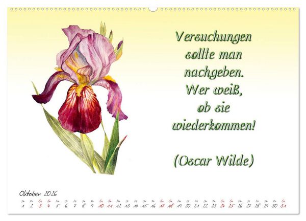 Produktbild: 12 unterhaltsame Zitate f&uuml;r ein sch&ouml;nes Jahr (hochwertiger Premium Wandkalender 2026 DIN A2 quer), Kunstdruck in Hochglanz