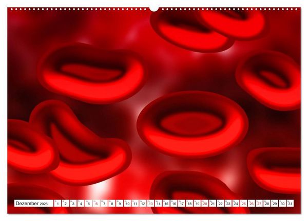 Produktbild: Mikrobiologie. Mikroorganismen, Genetik und Zellen (hochwertiger Premium Wandkalender 2026 DIN A2 quer), Kunstdruck in Hochglanz