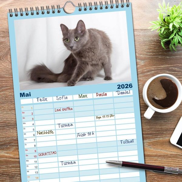 Produktbild: Familienplaner 2026 - Nebelung Katzen mit 5 Spalten (Wandkalender, 21 x 45 cm) CALVENDO