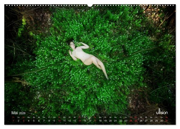 Produktbild: ZAUBERWALD Mystik der Natur (hochwertiger Premium Wandkalender 2026 DIN A2 quer), Kunstdruck in Hochglanz