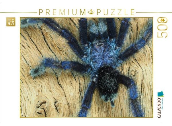CALVENDO Puzzle Avicularia purpurea, Kirk, 1990 | 500 Teile Lege-Größe 48 × 36 cm Foto-Puzzle für Erwachsene