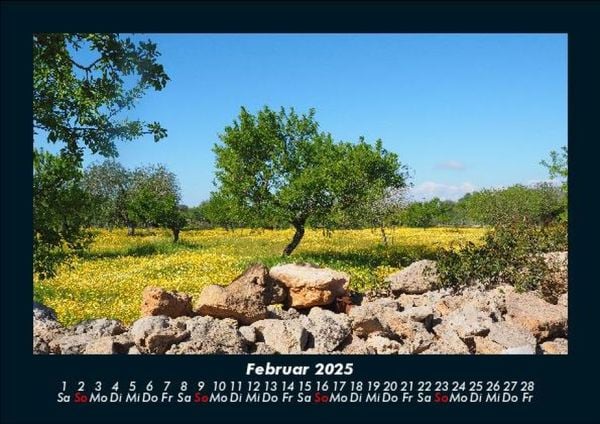Produktbild: B&auml;ume 2025 Fotokalender DIN A5