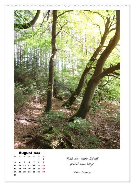 Produktbild: Wege durchs Jahr - Spazierg&auml;nge im sch&ouml;nen Nordhessen (Wandkalender 2026 DIN A2 hoch), CALVENDO Monatskalender