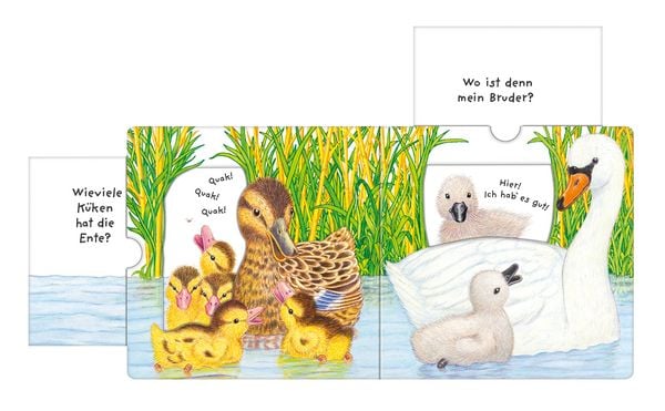 Produktbild: Tierkinder, wo seid ihr?