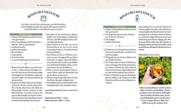 Produktbild: Zaubernuss und Waldmagie &ndash; Naturmomente f&uuml;r deine Seele