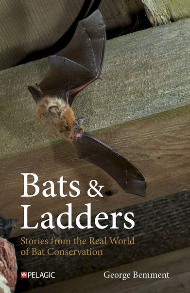 Produktbild: Bats & Ladders