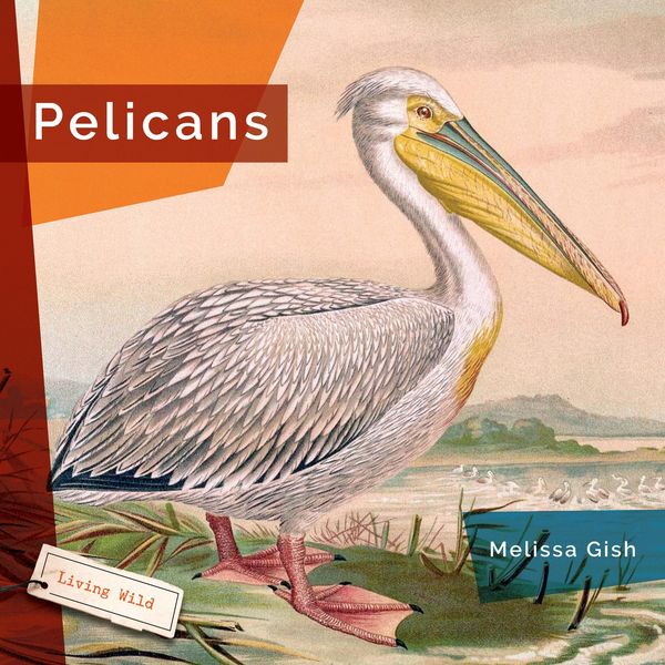 Produktbild: Pelicans
