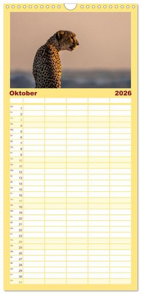 Produktbild: Familienplaner 2026 - Komm mit auf Safari! Botswana und S&uuml;dafrika mit 5 Spalten (Wandkalender, 21 x 45 cm) CALVENDO