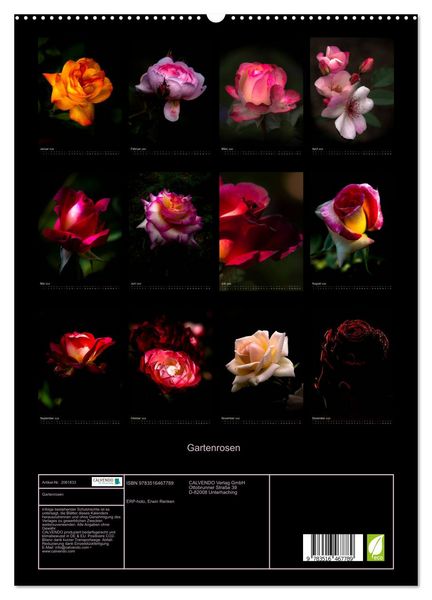 Produktbild: Gartenrosen (hochwertiger Premium Wandkalender 2026 DIN A2 hoch), Kunstdruck in Hochglanz